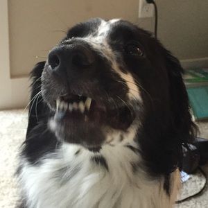 Meet your Posher, Eliot